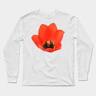 Red tulip Long Sleeve T-Shirt